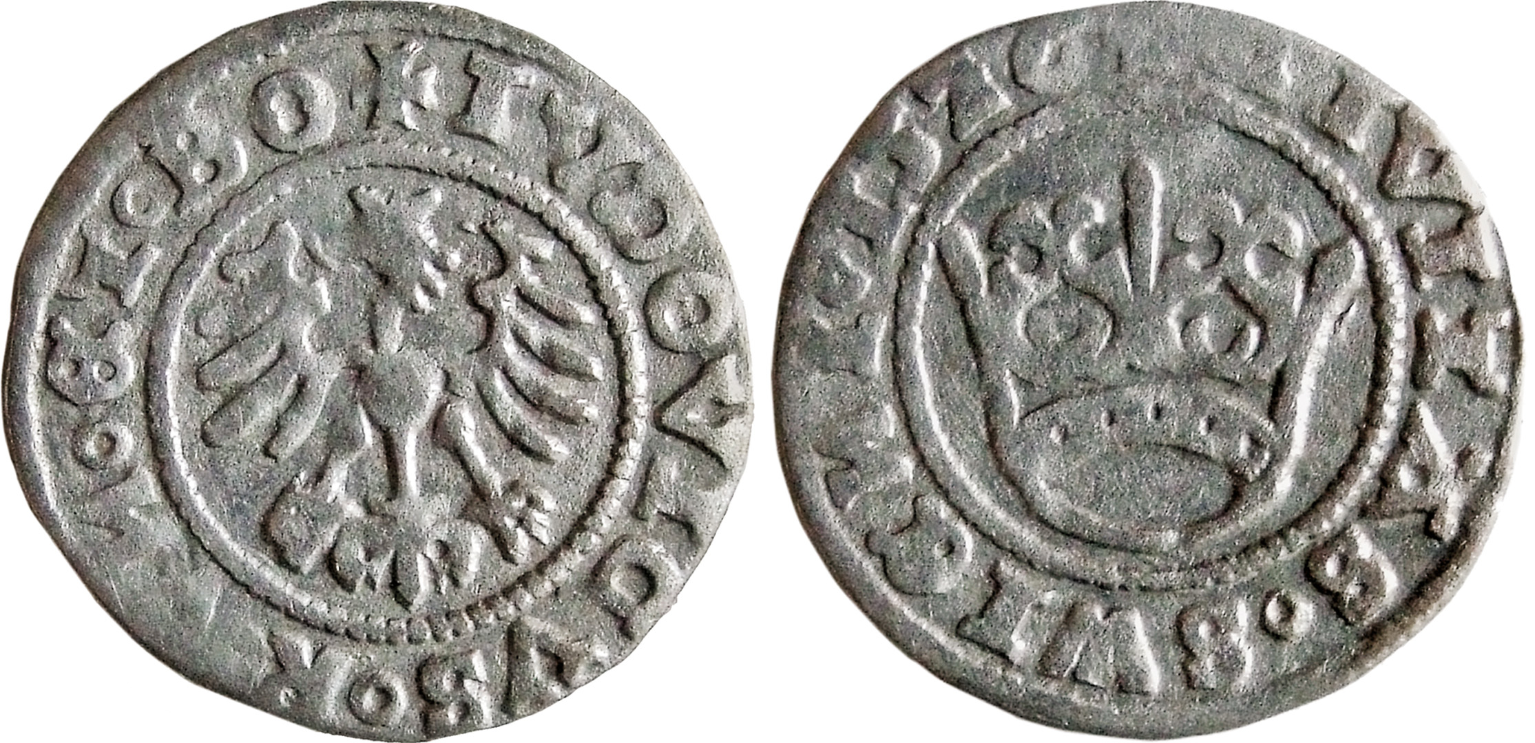 Svidnica. Liudvikas II. Pusgrašis. 1526 m. Sidabras. Ø 17,9 mm, Labūnavos lobio (Kėdainių r., 1601/2001) moneta