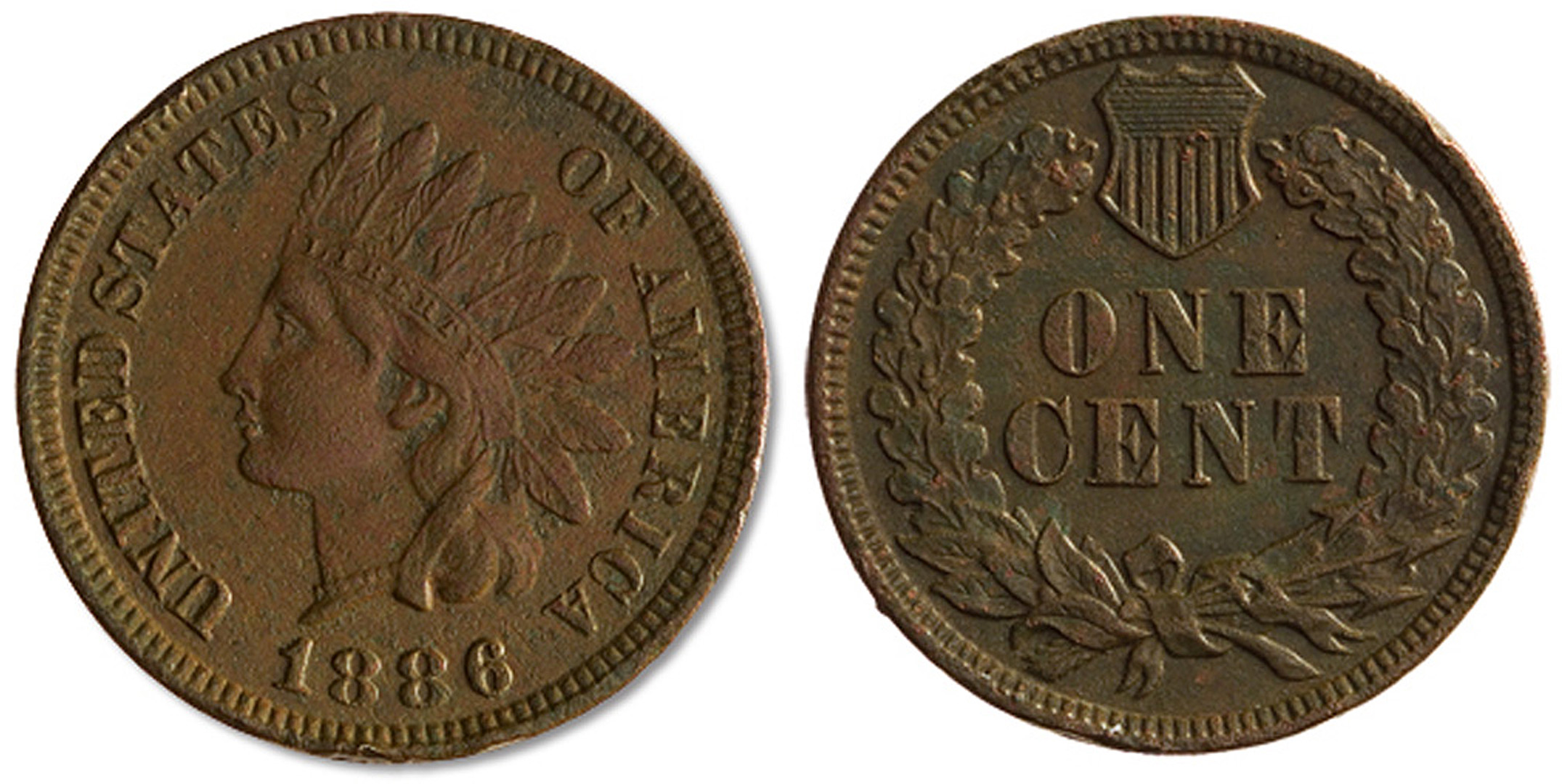 JAV. 1 centas. 1886 m. Bronza. Ø 19,1 mm, Valdovų rūmai, Vilnius